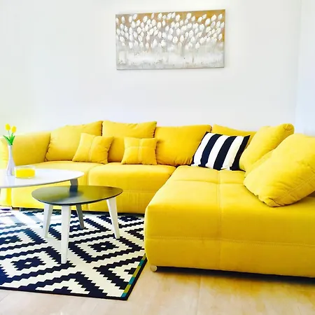 New Sunshine 普利莫顿