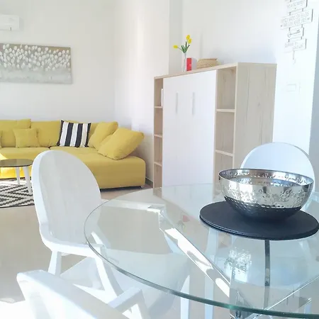 New Sunshine 普利莫顿