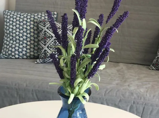 New Sunshine Primošten